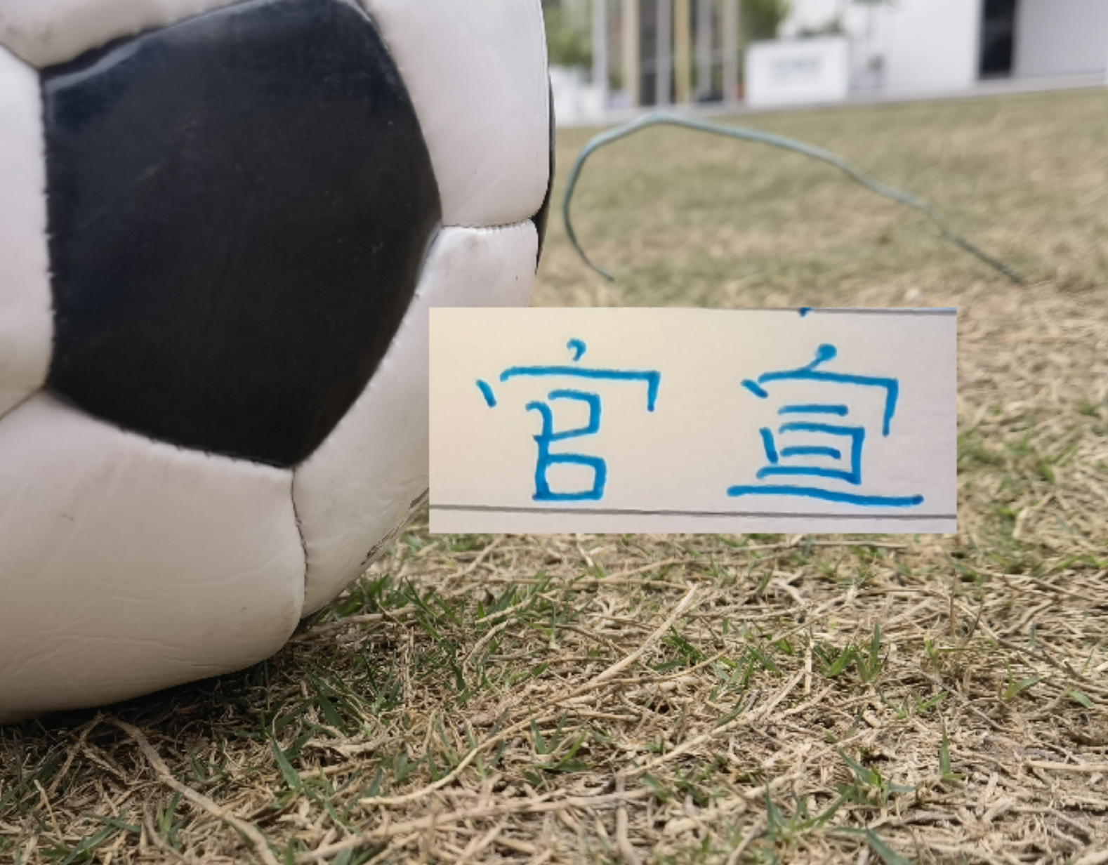 开云-申花又官宣2人离队！今年离开阵容够组队开踢了！